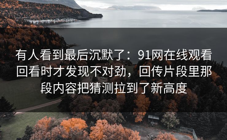 有人看到最后沉默了：91网在线观看回看时才发现不对劲，回传片段里那段内容把猜测拉到了新高度  第1张